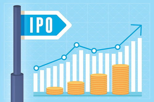 CHM八面玲瓏引領(lǐng)IPO芝麻開花，網(wǎng)絡(luò)與信息安全軟件開發(fā)前景廣闊